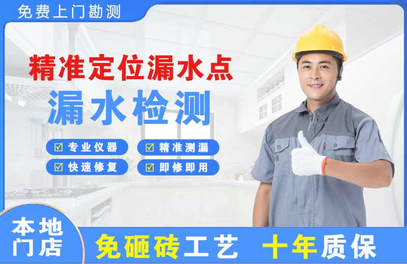 仲巴精准测漏点